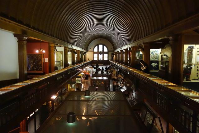 Fairbanks Museum and Planetarium